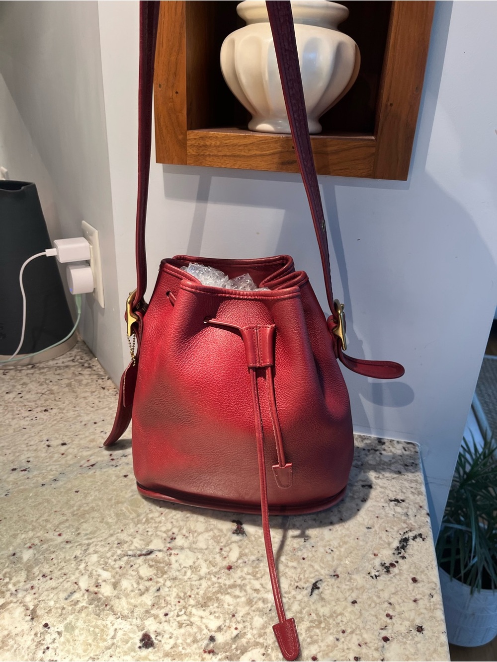 Coach Lula's Legacy Bucket Bag (Style 9952)